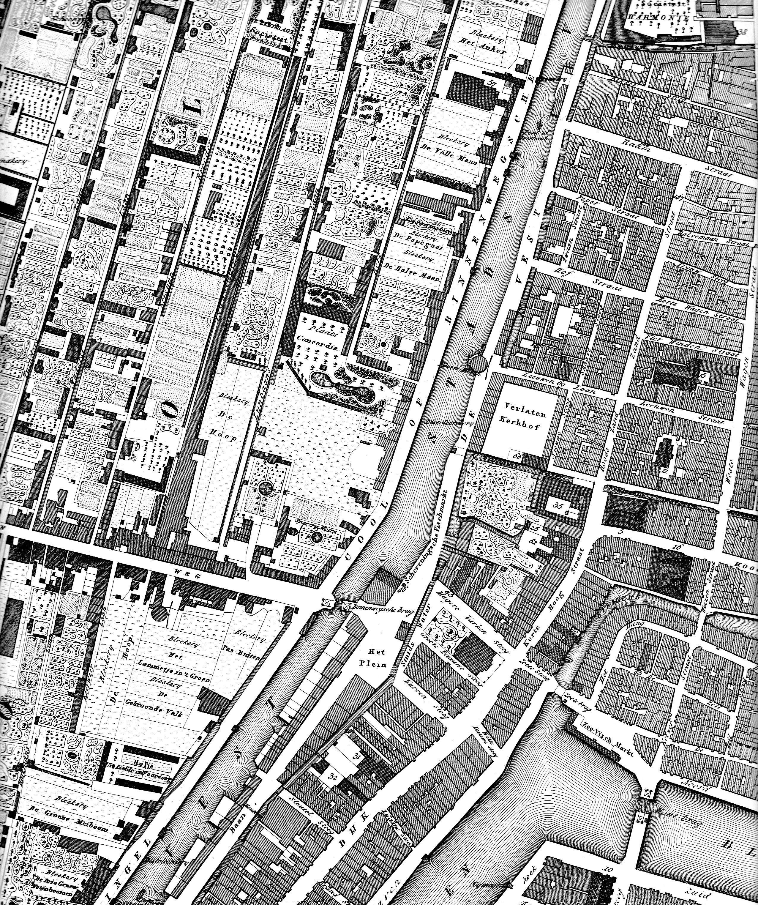 Plattegrond der stad Rotterdam detail L.F. Temminck 1839