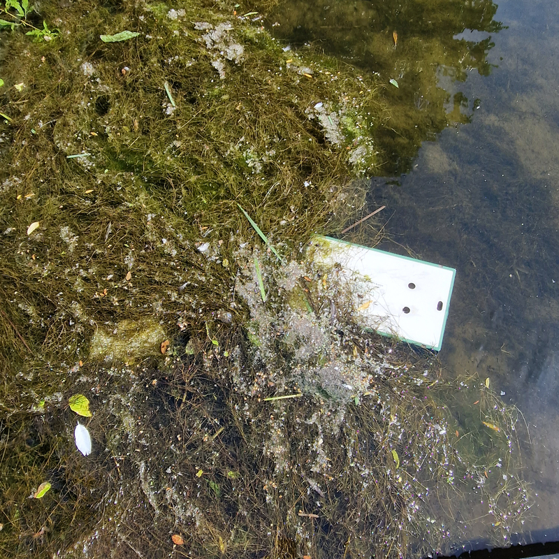 De Bleiswijkse Zoom Plasticvrij