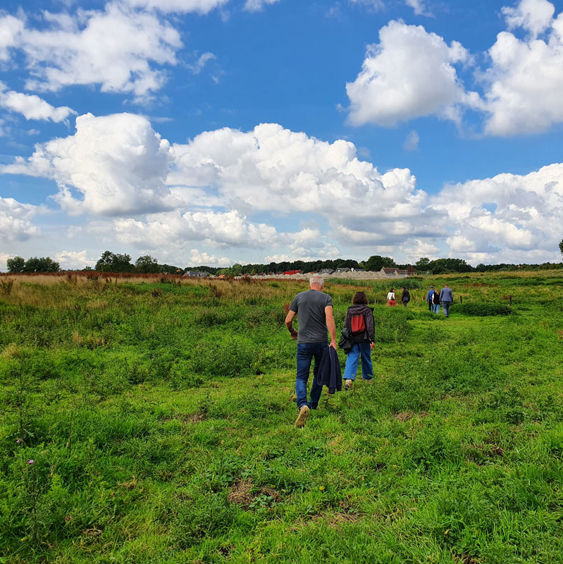 Het Land Van Chabot