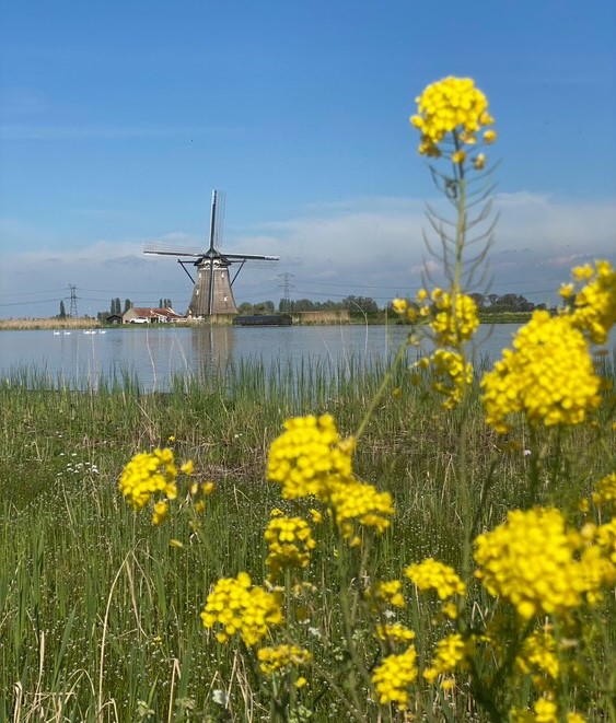 Vriendenloterij Nationale Molendag