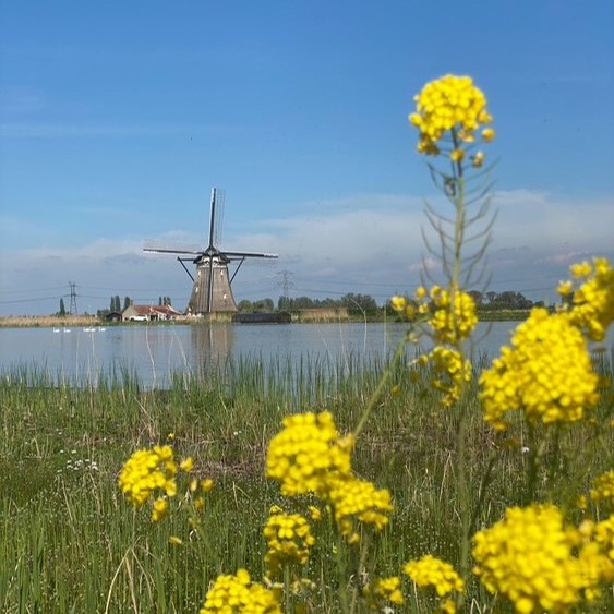 Vriendenloterij Nationale Molendag