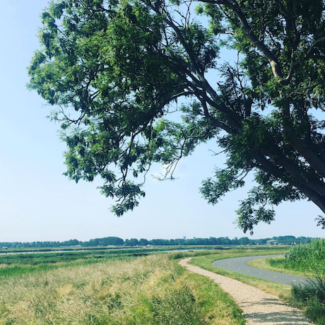 Rotterdams Ommelandpad