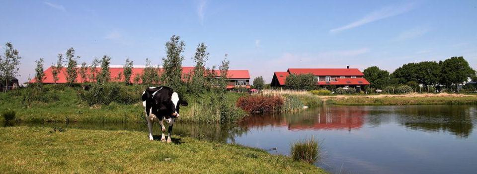 Camping Het Lansingerland 