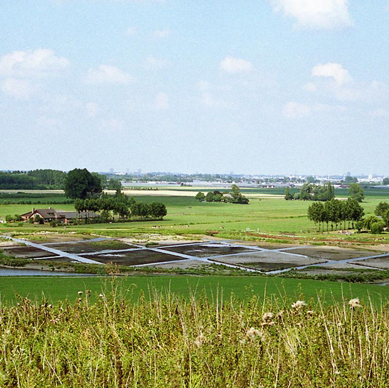 Hoge Bergse Bos kunstwerk