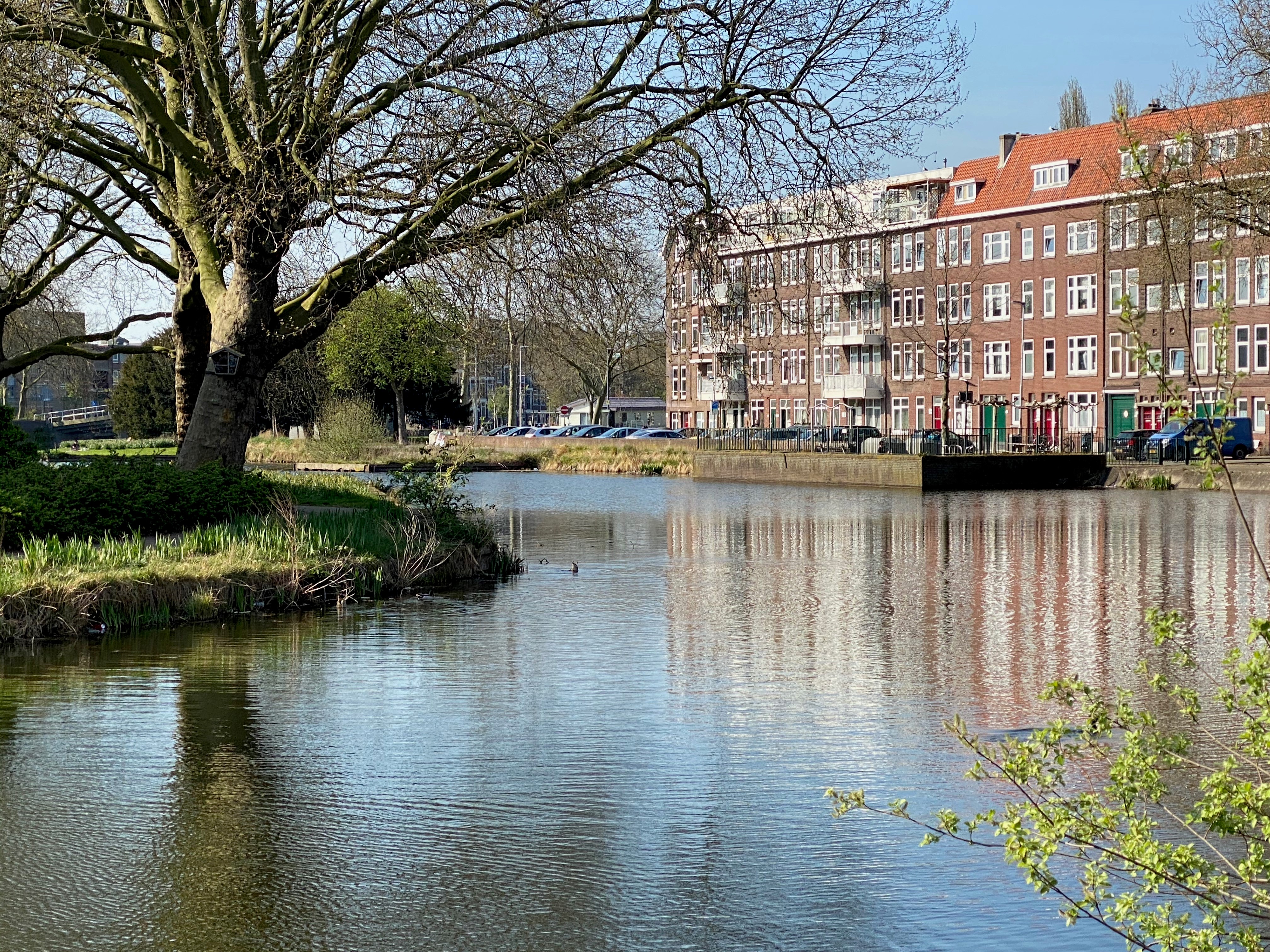 Omstreeks 1200 werd een tweede dam in de Rotte gelegd ter hoogte van de Crooswijksebocht (foto Jan van den Noort 2020).