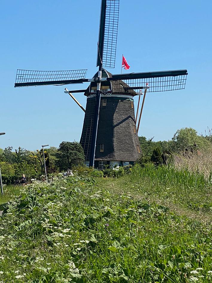Blog 9 Prinsenmolen