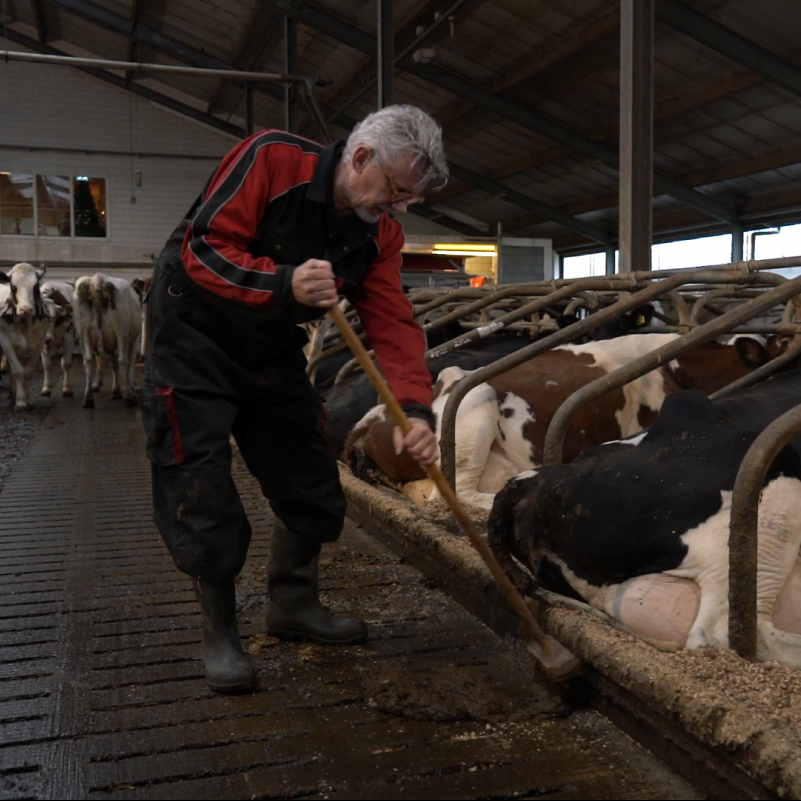 De Rotte Reporter - Boerderij Het Lansingerland