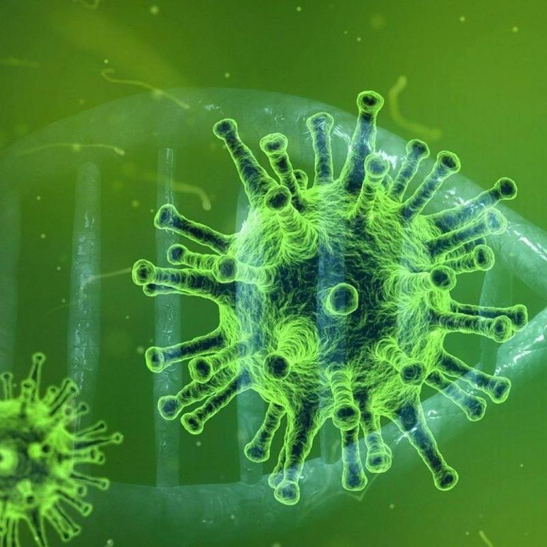 Recreatiegebied Rottemeren toegankelijk tijdens Coronavirus, maar houdt je aan de regels