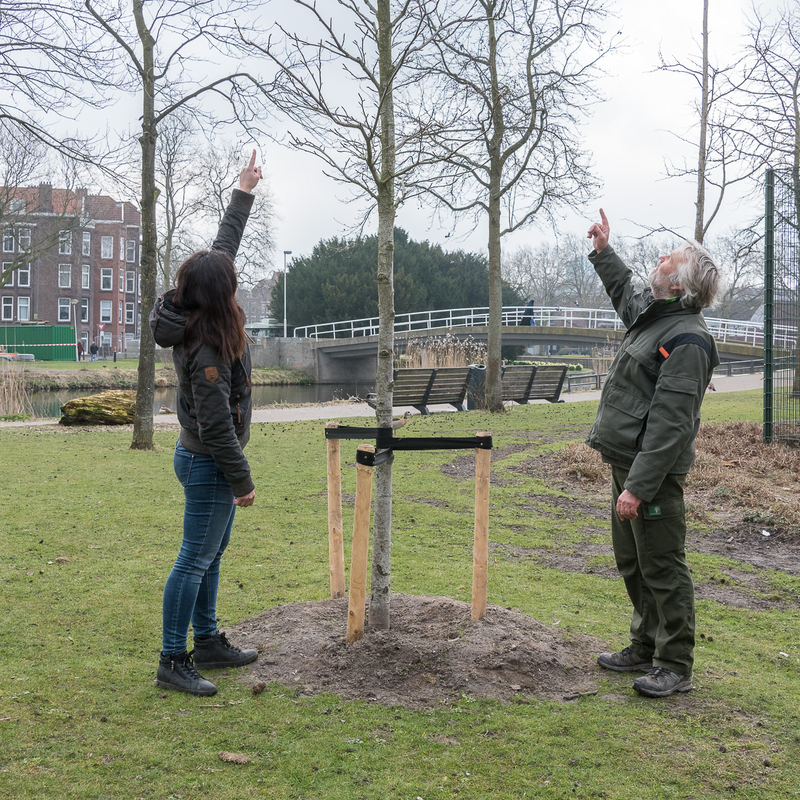 Planten 120 voedselbomen en -struiken Foto Johannes Odé