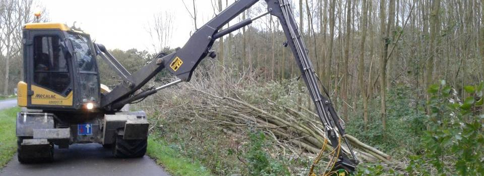 Foto Staatsbosbeheer: opruimen Essentakken