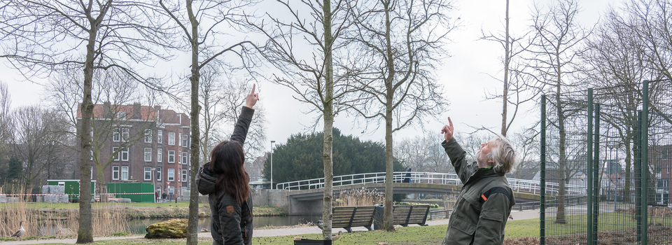 Planten 120 voedselbomen en -struiken Foto Johannes Odé