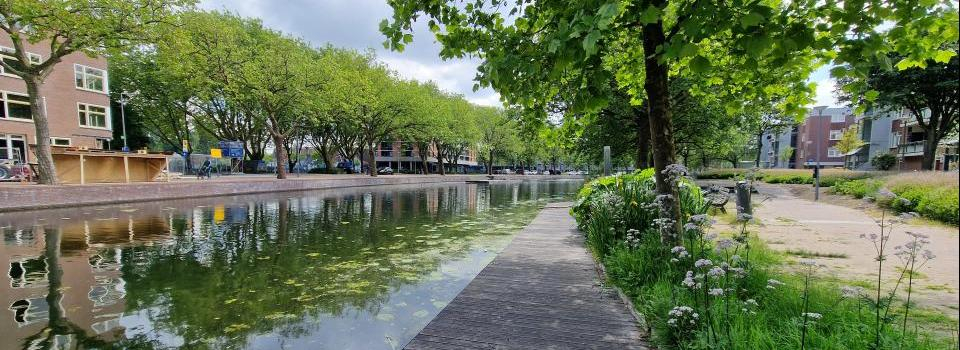 Steiger bij Rotterdam Noord Foto Mariëlle van den Berge