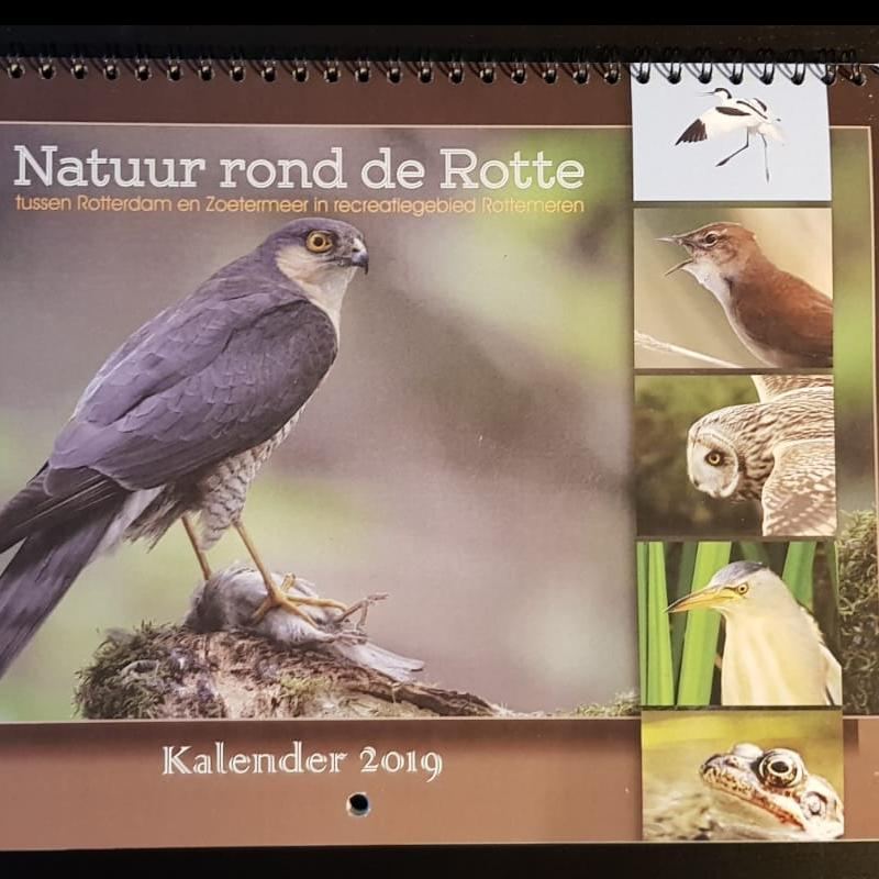 Nieuw: de Rotte kalender