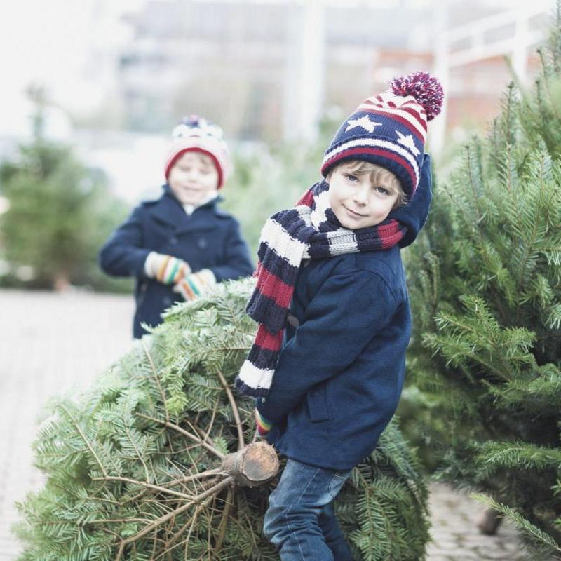 Kerstbomenverkoop Boerderij Het Lansingerland