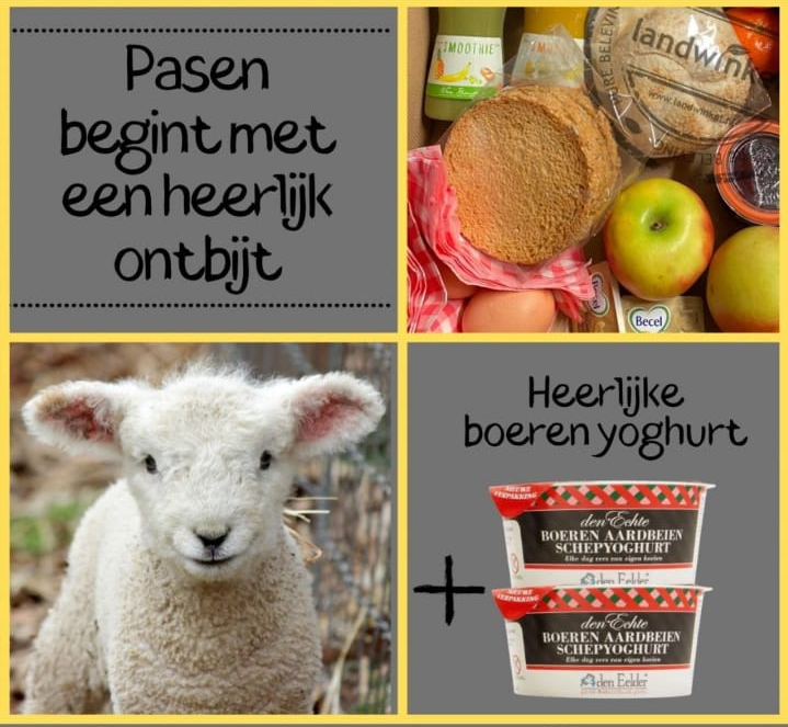 Pasen Boerderij Het Lansingerland 