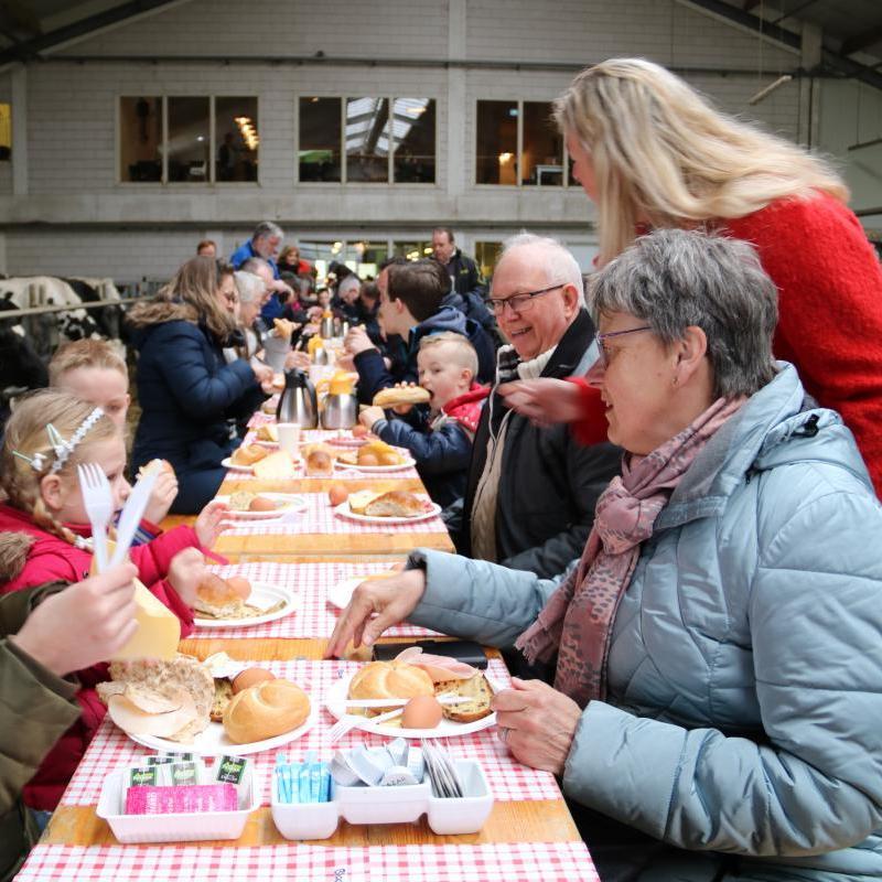 Pasen Boerderij Het Lansingerland Ontbijt Categorie