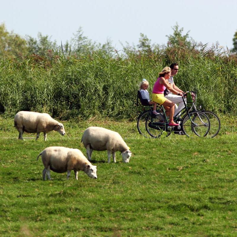 Rotte Lente Avonden